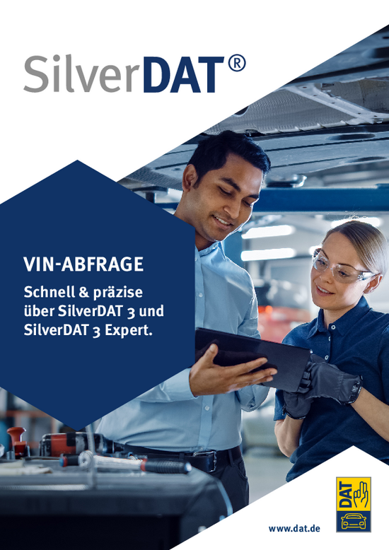 Flyer DAT VIN-Проверка